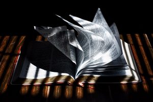 DEFTER VE BELGELERİ İBRAZ ETMEK!…